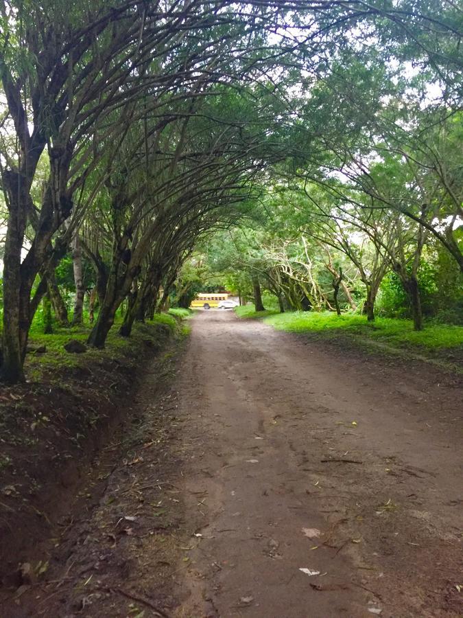 Refugio De La Montana B&B San Pedro Sula Exteriér fotografie